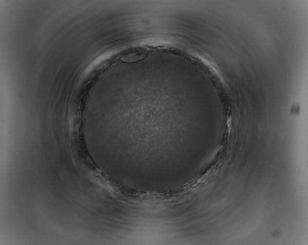 X0000100750920200807031332