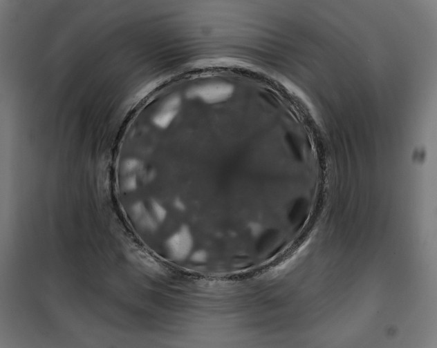 X0000100750921200807031332