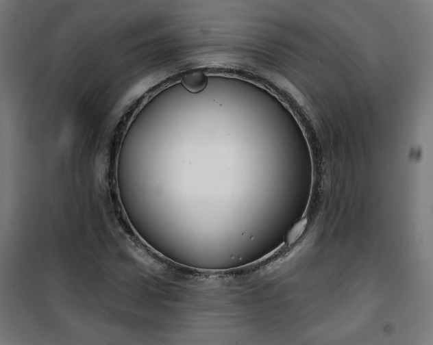 X0000100750922200807031332