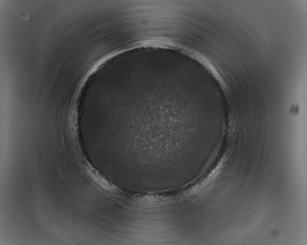 X0000100750923200807031332