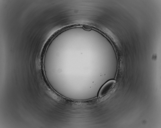 X0000100750924200807031332