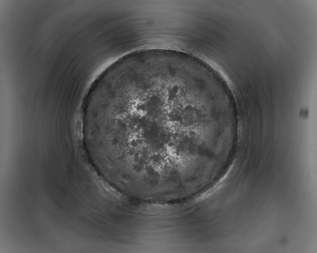 X0000100750925200807031332