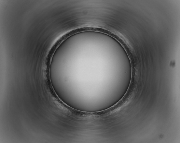 X0000100750926200807031332