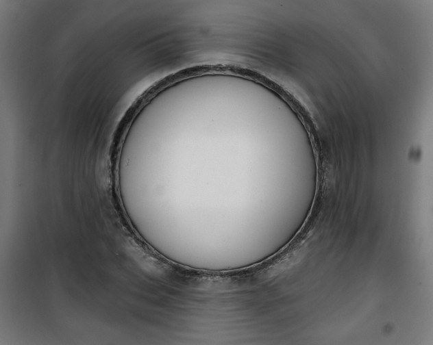 X0000100750927200807031332