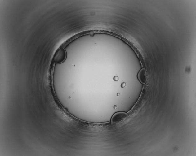 X0000100750928200807031332