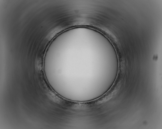 X0000100750929200807031332