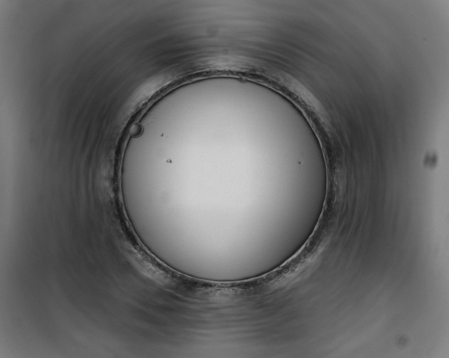 X0000100750930200807031332