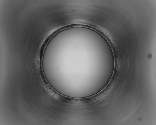 X0000100750931200807031332