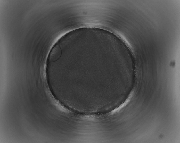 X0000100750932200807031332