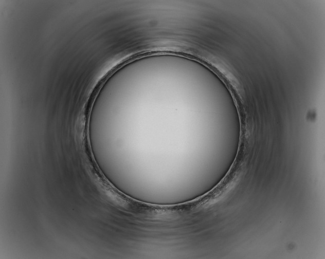 X0000100750933200807031332