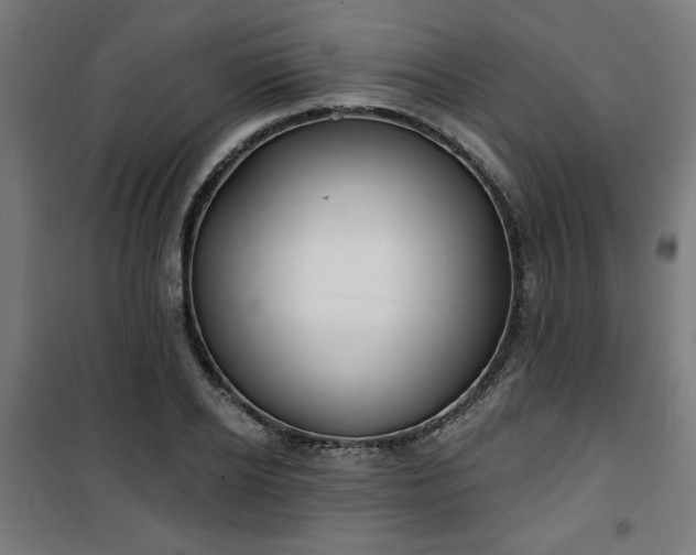 X0000100750934200807031332