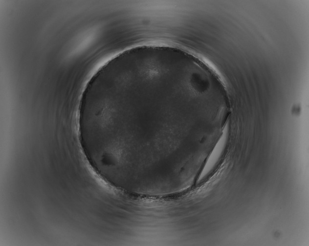 X0000100750935200807031332