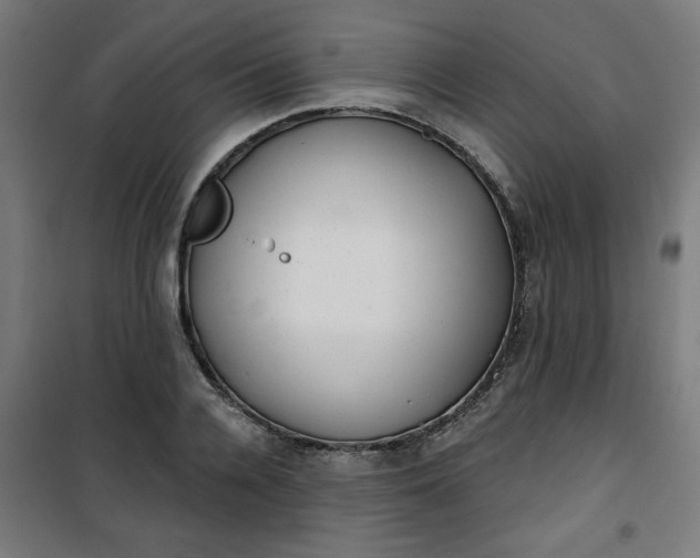 X0000100750936200807031332