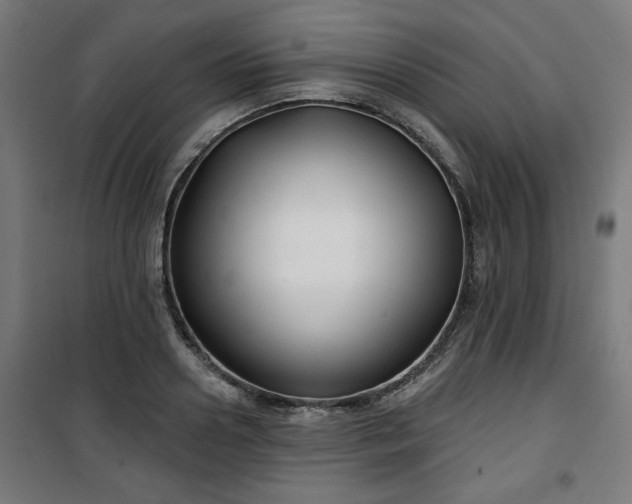 X0000100750938200807031332