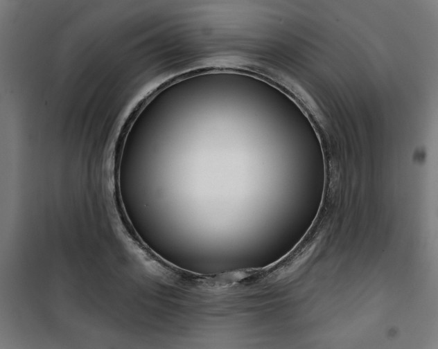 X0000100750939200807031332