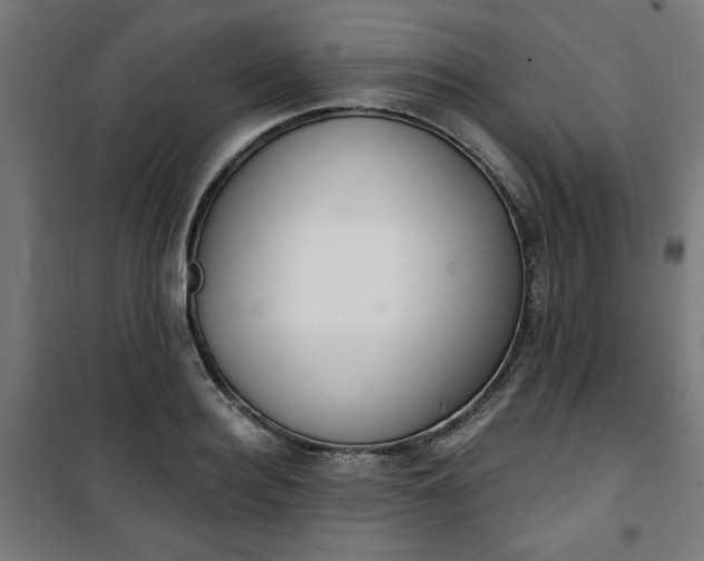 X0000100750940200807031332