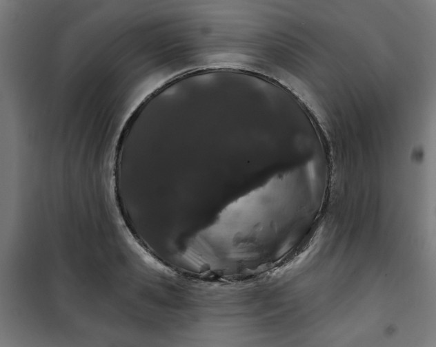 X0000100750941200807031332