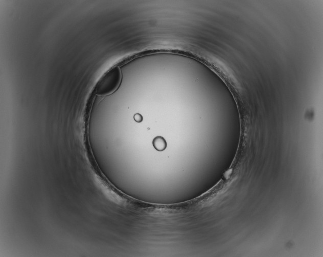 X0000100750942200807031332