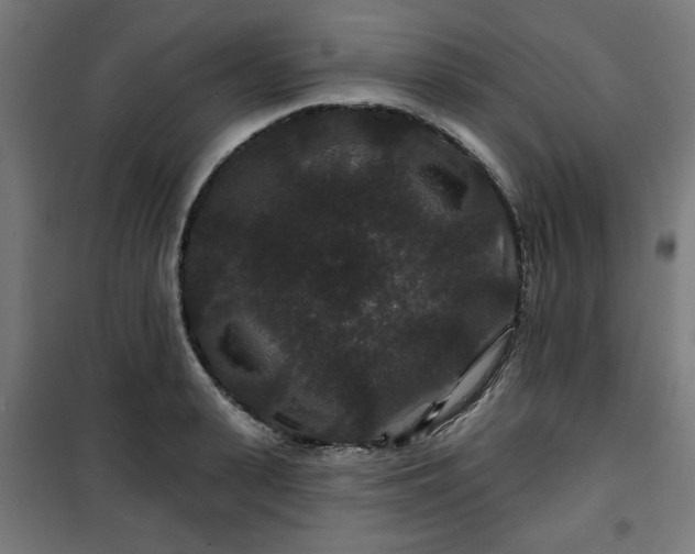 X0000100750943200807031332