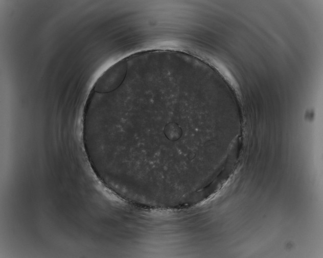 X0000100750944200807031332