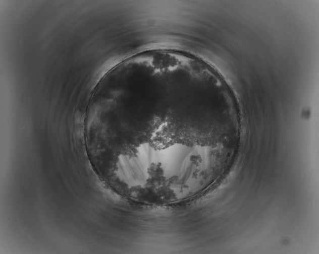 X0000100750945200807031332