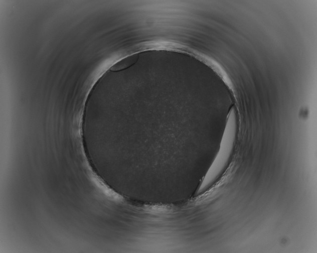 X0000100750946200807031332