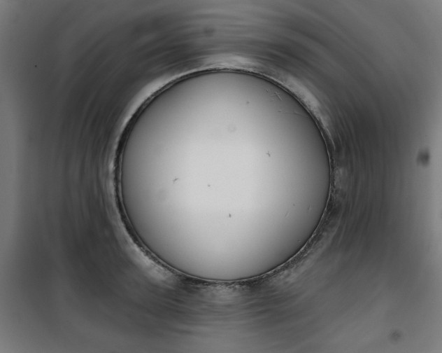 X0000100750947200807031332