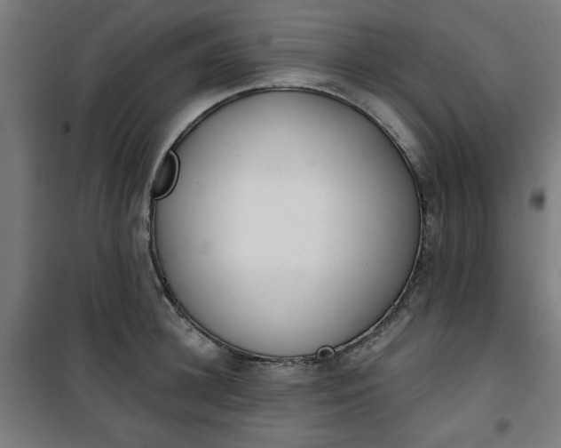 X0000100750948200807031332