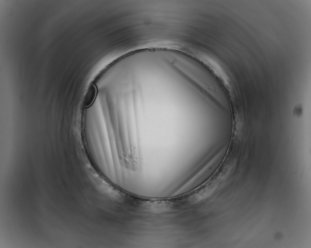 X0000100750952200807031332