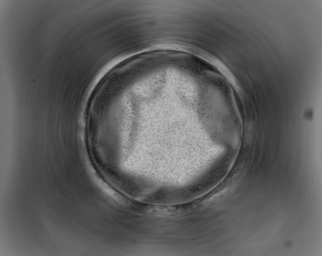 X0000100750955200807031332