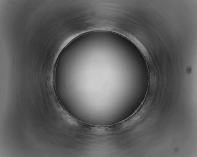 X0000100750956200807031333