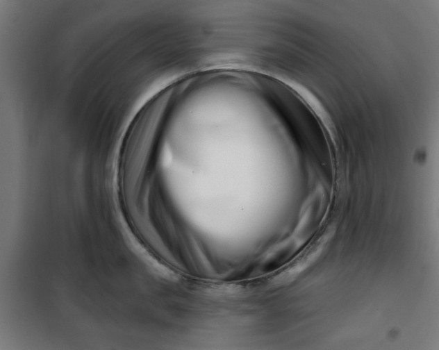 X0000100750957200807031333