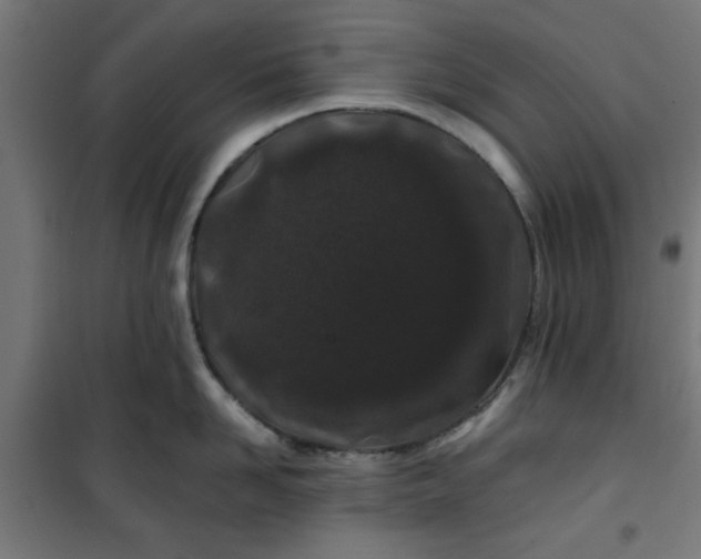 X0000100750958200807031333