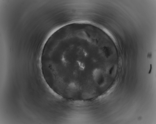 X0000100750959200807031333