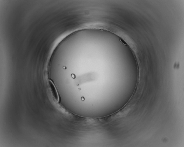 X0000100750960200807031333