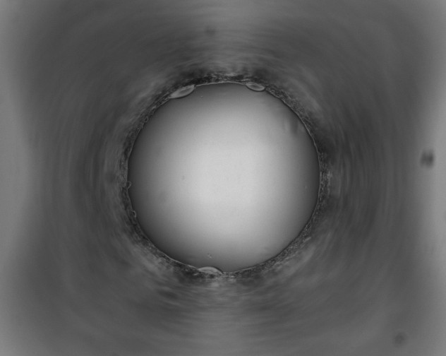 X0000100750961200807031332