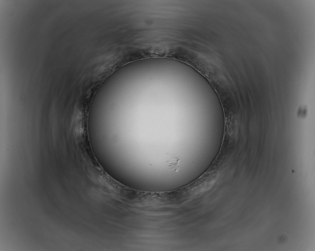 X0000100750962200807031332