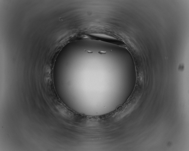 X0000100750964200807031332