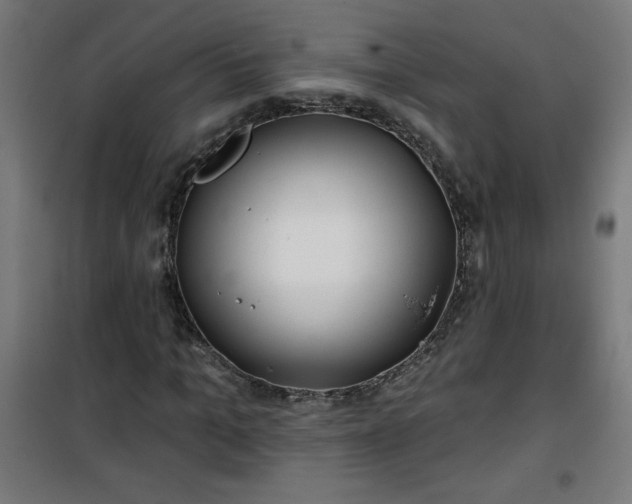 X0000100750965200807031332