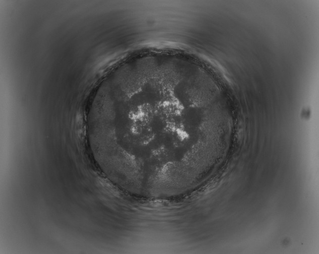 X0000100750966200807031332