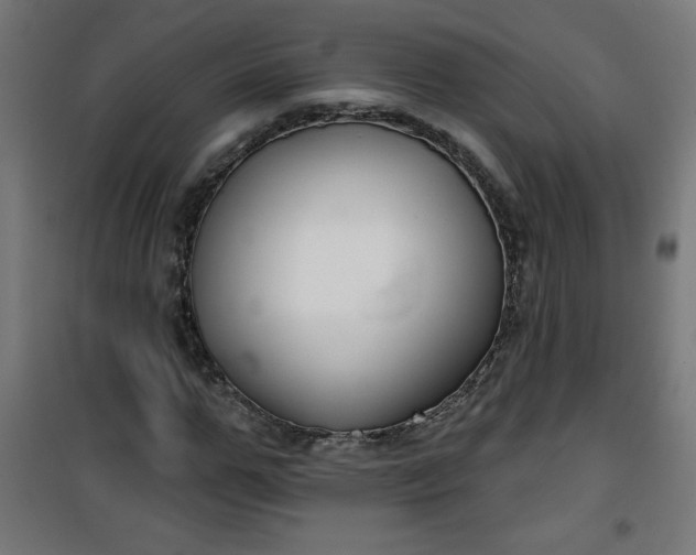 X0000100750967200807031332