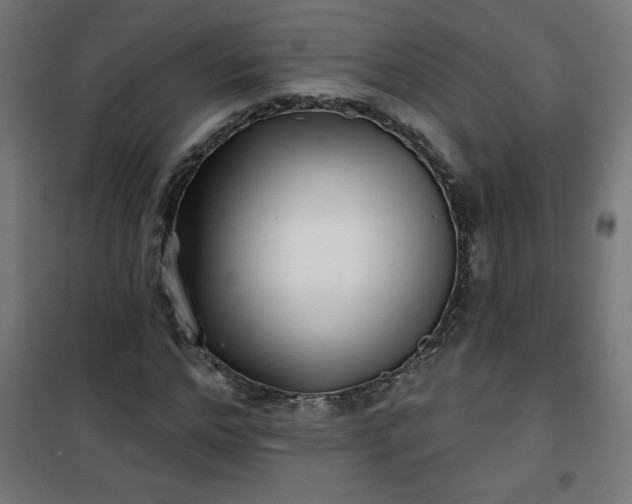 X0000100750968200807031332