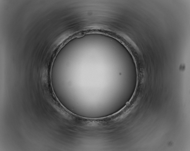 X0000100750969200807031332