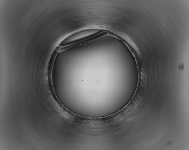 X0000100750972200807031332