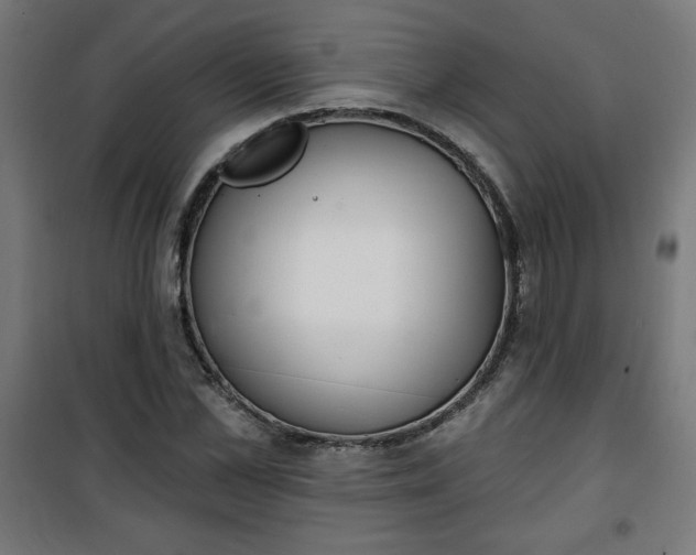 X0000100750973200807031332