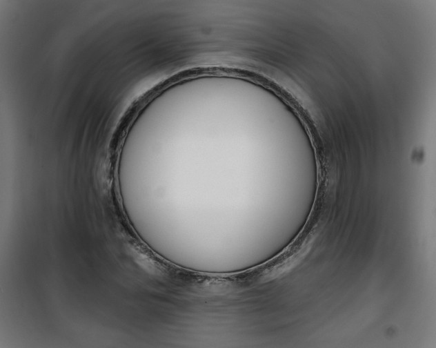 X0000100750974200807031332