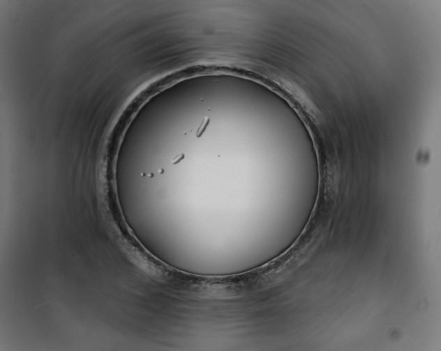 X0000100750976200807031332