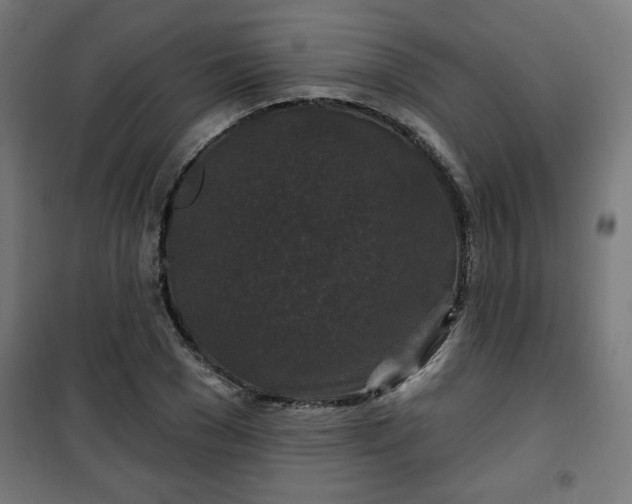 X0000100750977200807031332