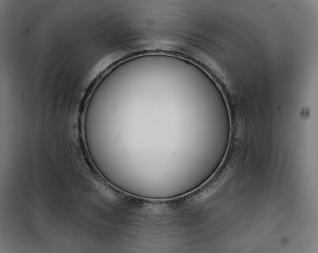 X0000100750978200807031332