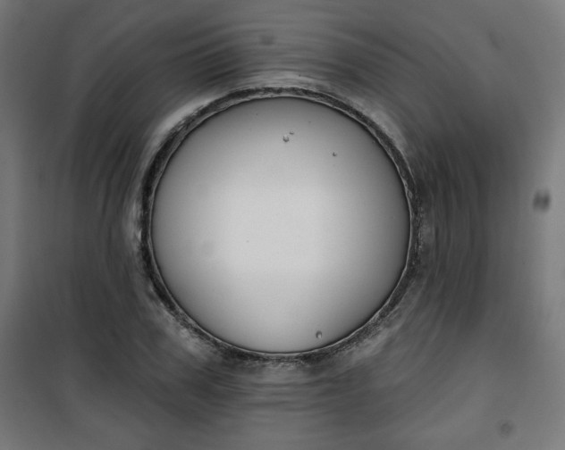 X0000100750979200807031332